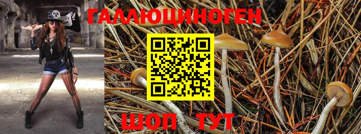 Псилоцибиновые грибы мухоморы  Вход с VPN  Красноперекопск  Галлюциногенные грибы Psilocybine cubensis 
